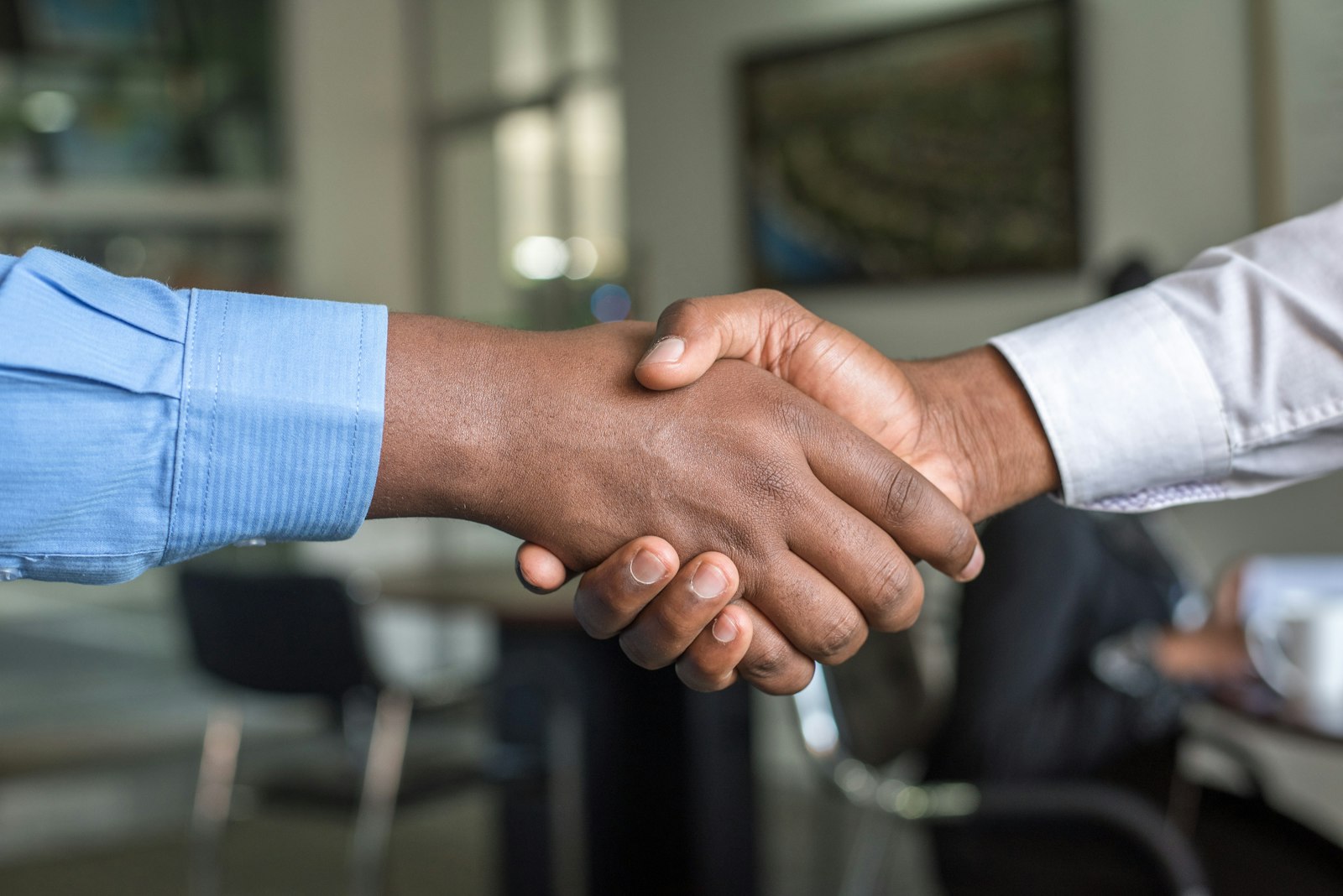 Geschäftsentwicklung und strategische Partnerschaften